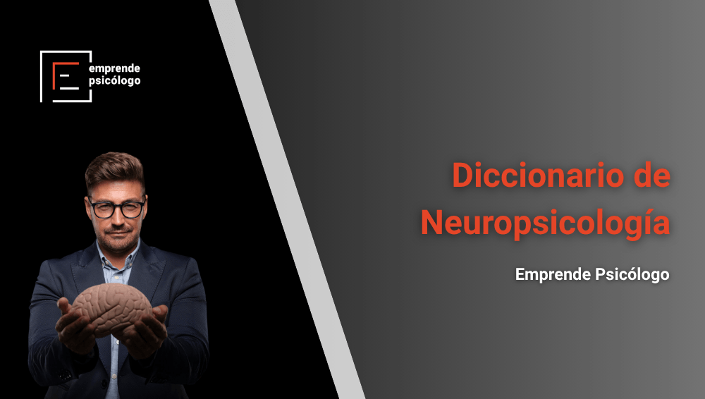 Diccionario de Neuropsicología: 111 términos explicados y definidos