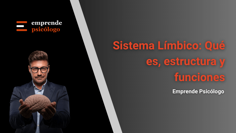 Sistema límbico: qué es, estructuras, funciones y papel en las emociones