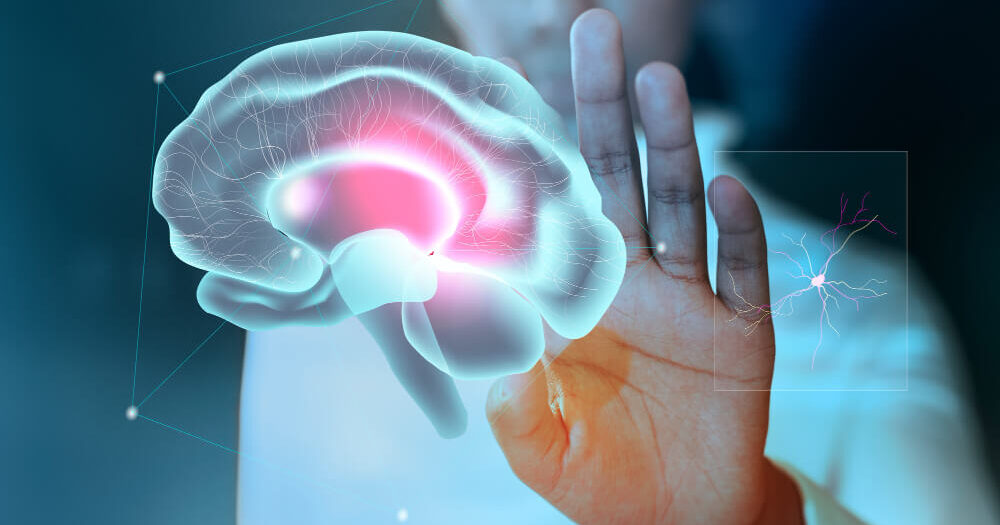 Los 10 mejores cursos de Neuropsicología (en español e inglés)